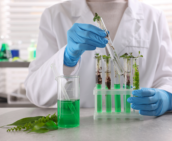 Agro Chemicals